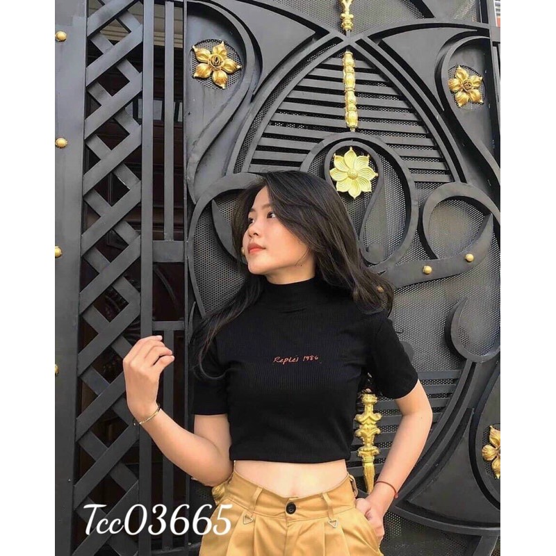 ÁO CROPTOP | BigBuy360 - bigbuy360.vn