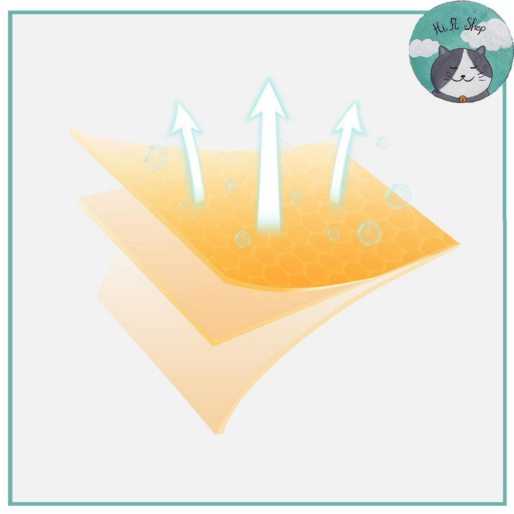 [Hoả Tốc] Cát Đậu Nành Randolph Tofu Cho Mèo Cát Vệ Sinh Dành Cho Thú Cưng