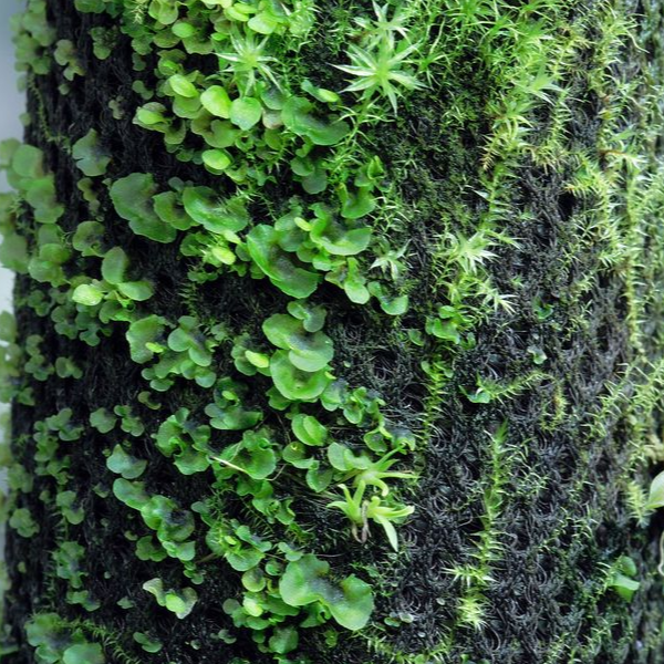 The Vivarium