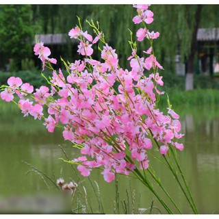 Nhánh lan vũ nữ giả dài 96cm