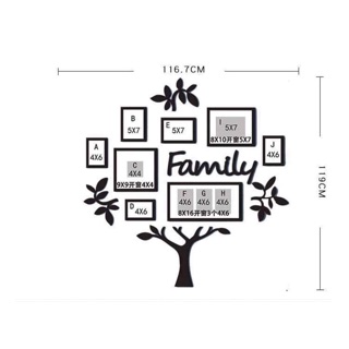 Bộ khung tranh FAMILY TREE COLLECTION