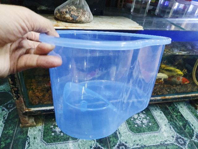 BỂ NUÔI RÙA BABA THÚ CƯNG 26X20X13CM