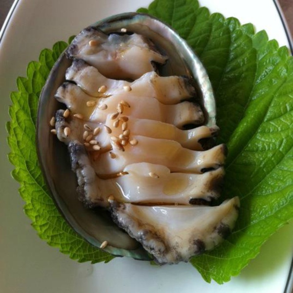 1kg bào ngư Hàn Quốc Abalone(18-20 con/kg)
