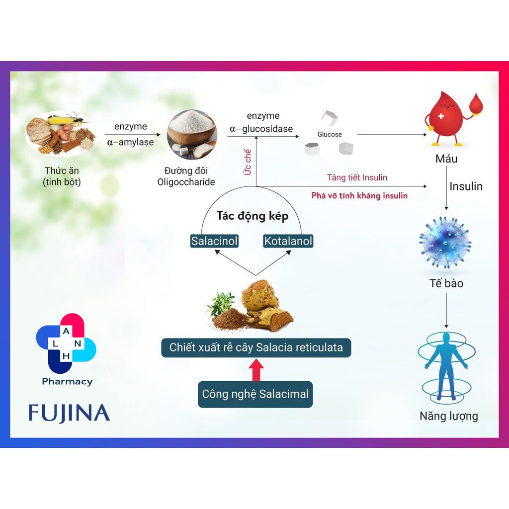 INSUNA - Giải pháp mới của Nhật Bản dành riêng cho người bị tiểu đường.