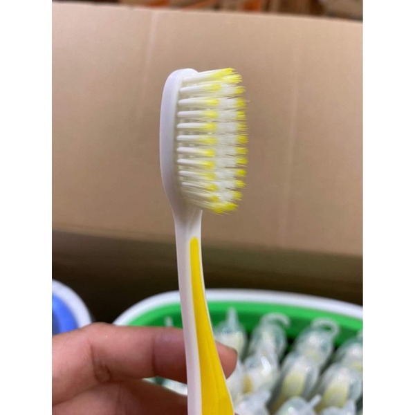 BÀN CHẢI SUNREE THÁI LAN 1 CÁI