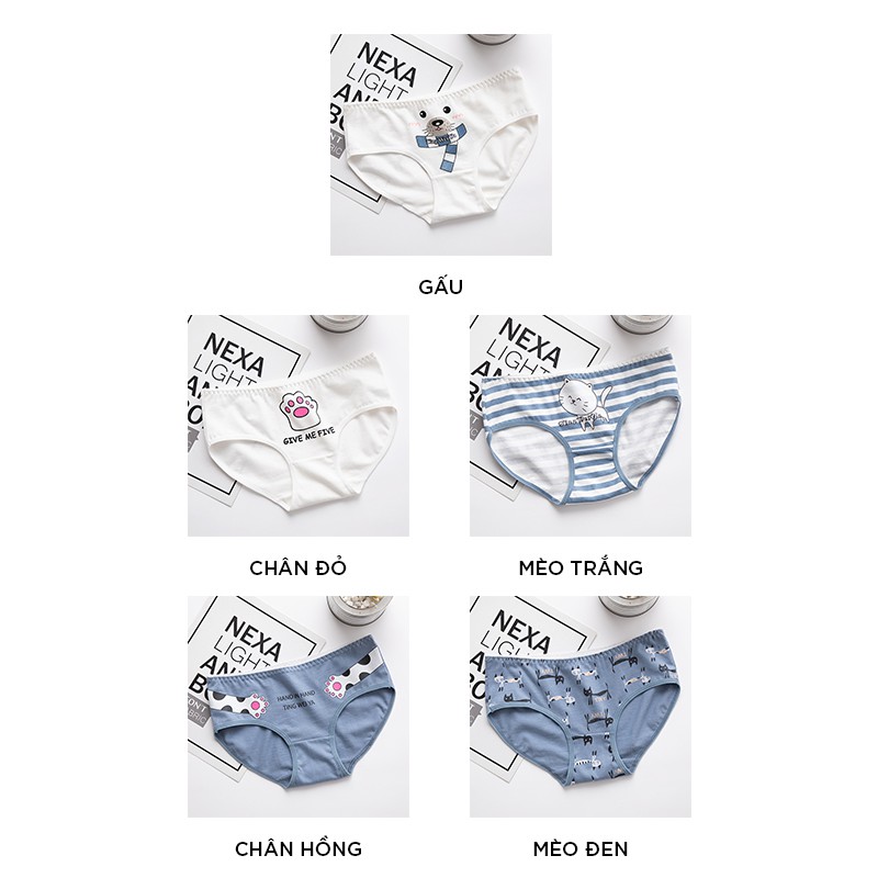 Quần lót nữ cute cotton cao cấp hoạ tiết ngộ nghĩnh đáng yêu LAVENUSA QL32