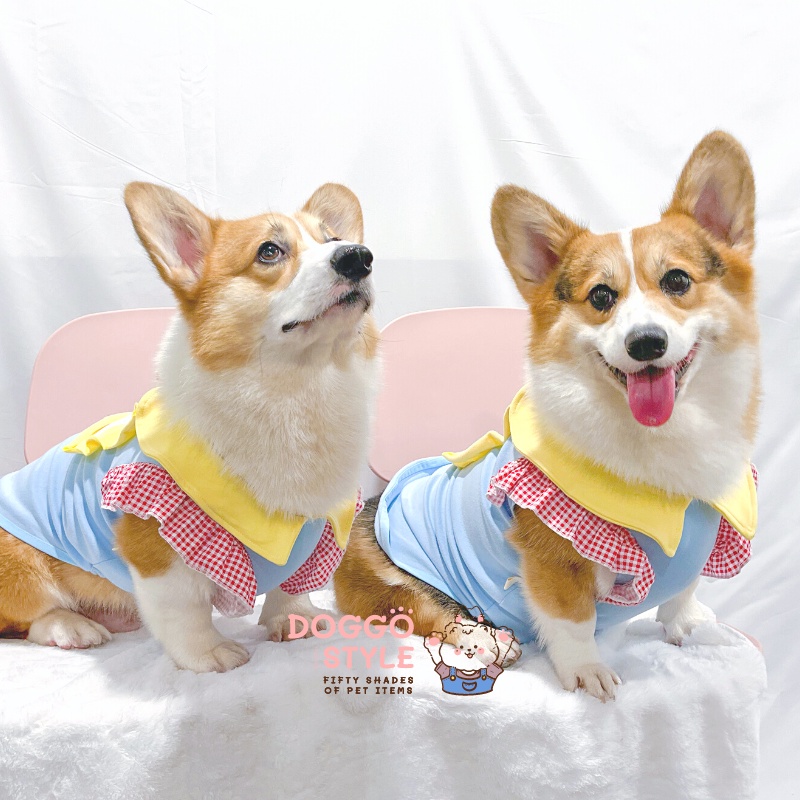 Áo Thun Ba Lỗ DoggoStyle Vải Cotton Ấm Mùa Thu Đông Cho Chó Lớn Size Bự Corgi Bull Pháp Pug Mặt Xệ Lạp Xưởng