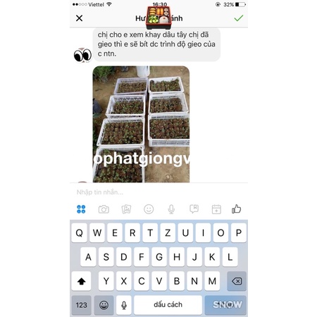Combo Hạt giống hoa trồng Ban công dễ trồng gói zin