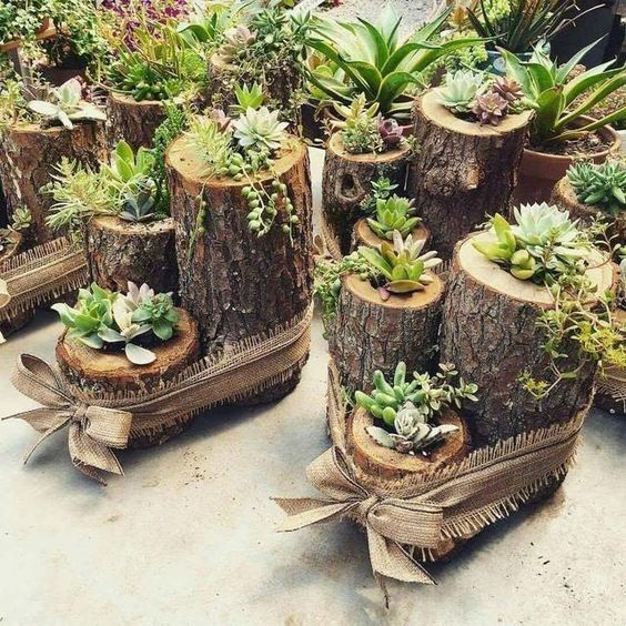 Chậy Cây Gỗ/Trang Trí Văn Phòng,Nhà Cửa/Phong Cách