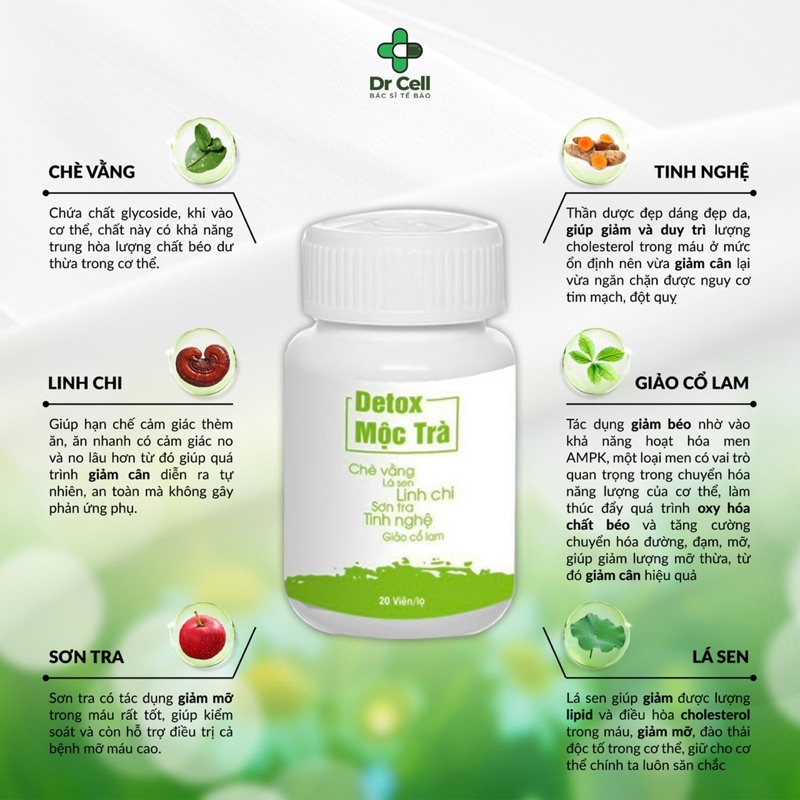 Detox Mộc Trà - Detox Thải mỡ - Detox xổ mỡ Dr Cell