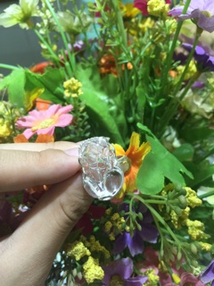 Nhẫn bạc tỳ hưu tàu lộc
