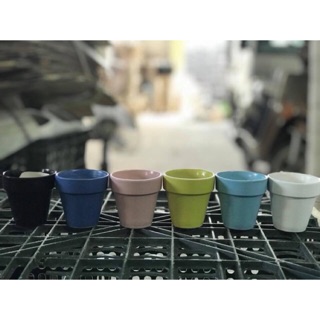 Chậu cây mini
