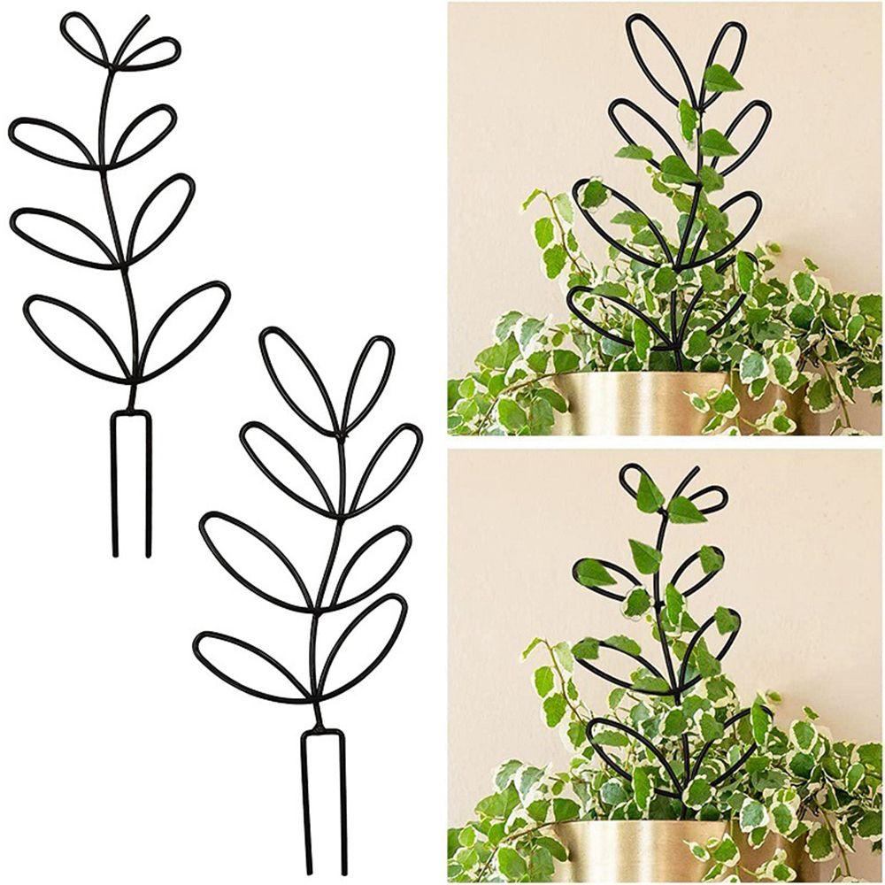 Giá Đỡ Trồng Cây Dây Leo Bằng Kim Loại Chống Rỉ