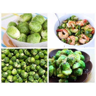 Hạt Giống Bắp Cải (Bắp Cải Tí Hon) JL5