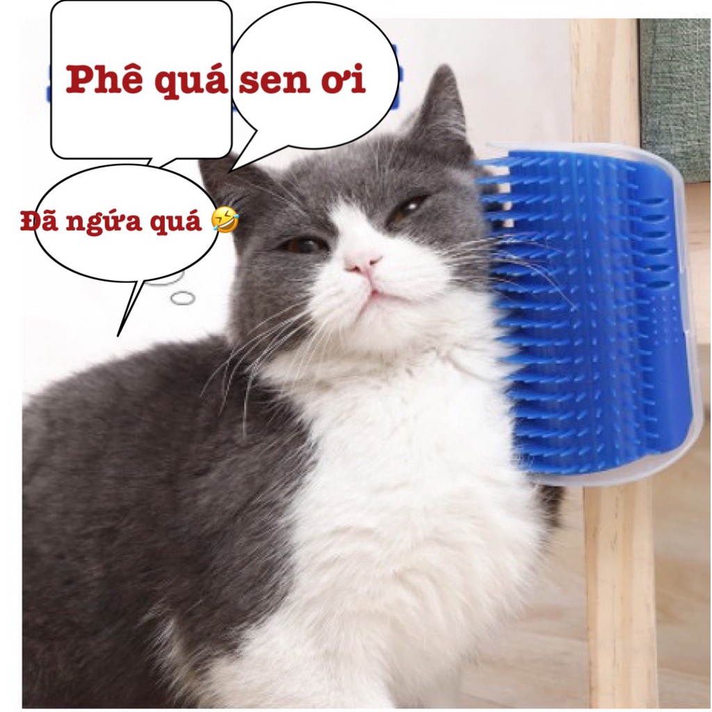 miếng gãi ngứa gắn tường cho mèo