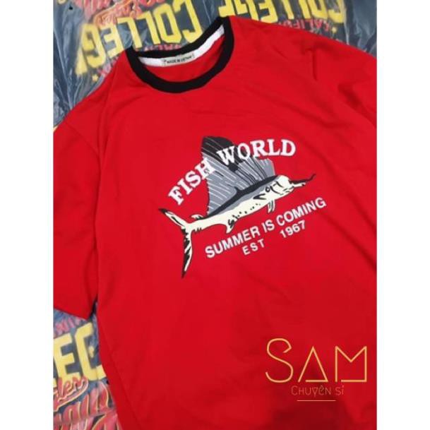 ÁO THUN NỮ ❤️  Áo Thun Nữ Form Rộng Tay Lỡ | BigBuy360 - bigbuy360.vn