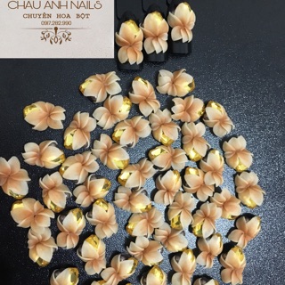 Hoa ôm đá khối hot !!!