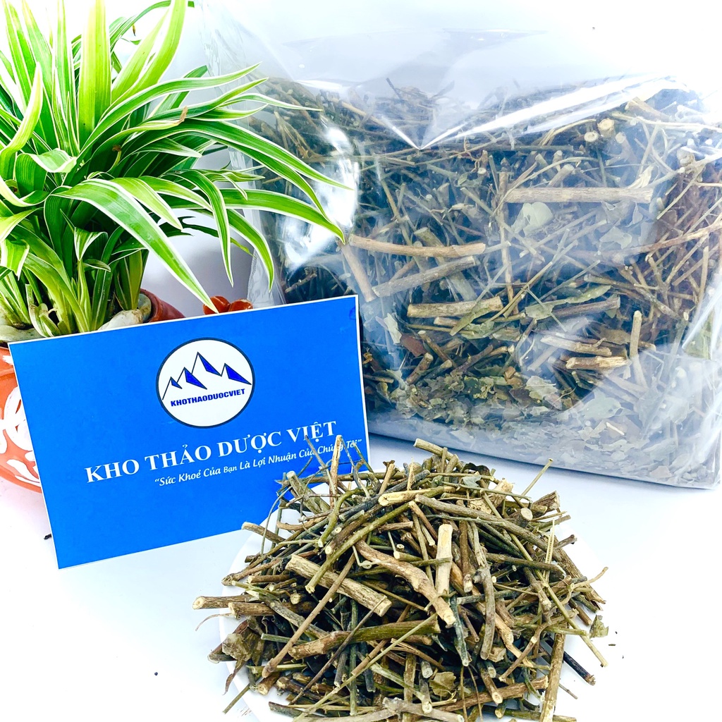 Chè Vằng Lá Sẻ lợi sữa giảm cân loại đẹp (sạch, thơm) 1kg | BigBuy360 - bigbuy360.vn