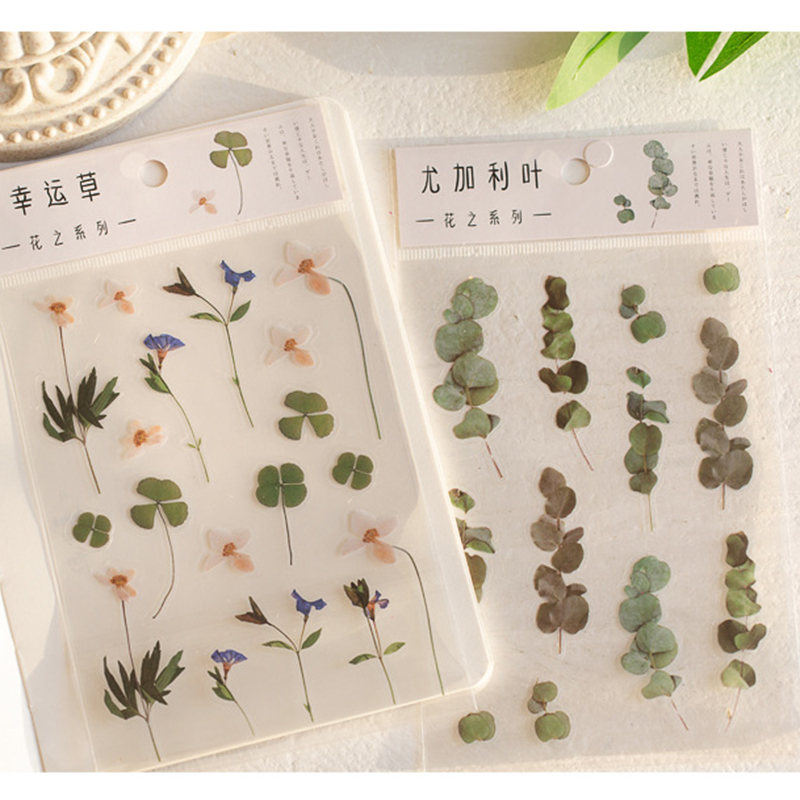 Miếng dán PET họa tiết hoa cúc trang trí sổ tay/Album DIY