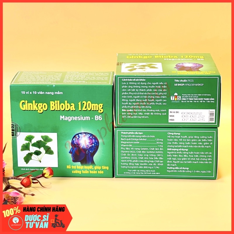 Viên nang Ginkgo Biloba 120mg &amp; Magnesium-B6 Hỗ trợ hoạt huyết, tăng cường tuần hoàn não Hộp 100 viên - Minpharmacy