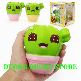 Squishy chậu xương rồng