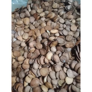 Hạt giống móng bò (ban tím)