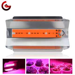 Đèn LED Kích Thích Tăng Trưởng Cho Cây Trồng 30W 50W 80W AC 110V 220V