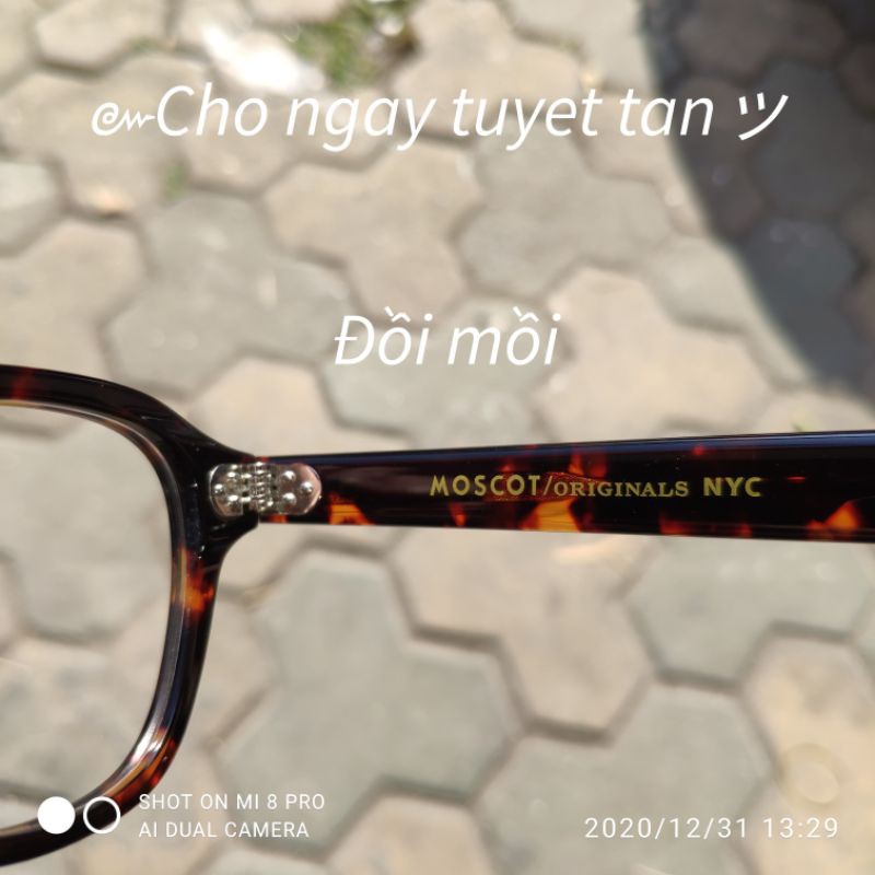 [New] Gọng Kính MOSCOT MOMZA Hàng Cao Cấp | BigBuy360 - bigbuy360.vn