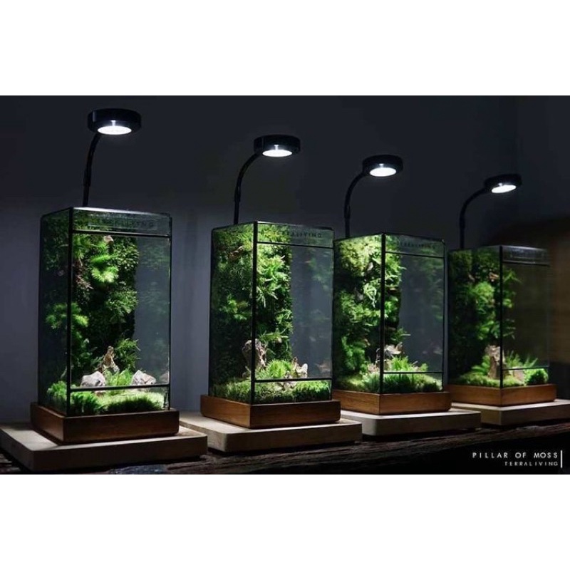 Đèn bàn led cảm ứng có điều chỉnh độ sáng