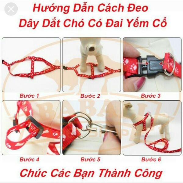 Dây yếm dắt chó mèo đi dạo