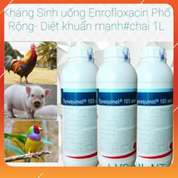 Kháng Sinh Enro cho Chim Cảnh,Gà Đá(Trị Thương Hàn,Tụ Huyết Trùng..) !