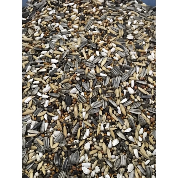 HẠT TRỘN DÀNH CHO VẸT, SUN, LB, COKATIEL…