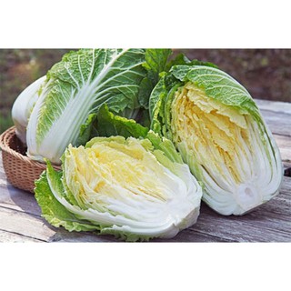 Gói 1g hạt giống cải thảo F1