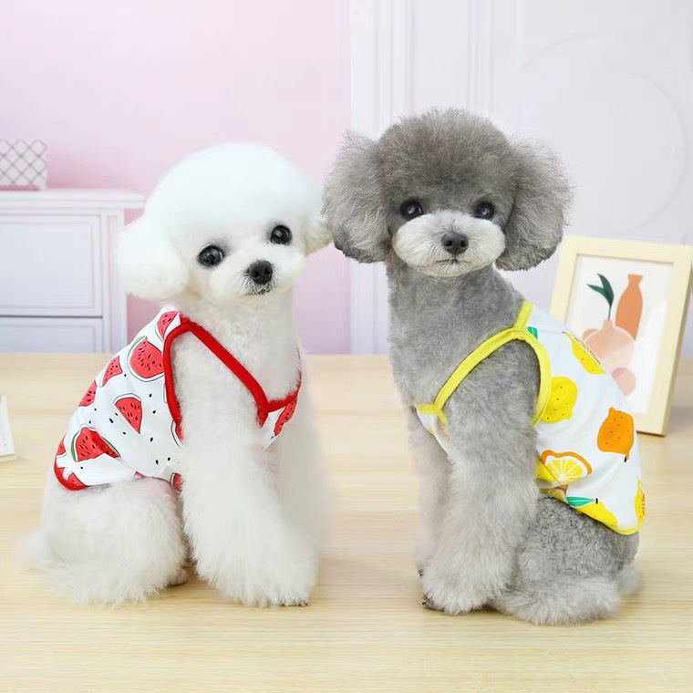[TẶNG CHUÔNG ] áo 2 dây summer nhiều mẫu cho chó mèo