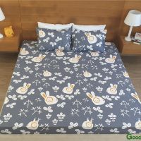 combo ga chống thấm