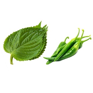Lá mè và ớt sừng ăn thịt nướng