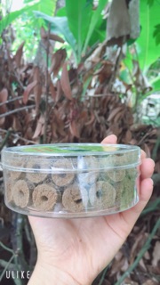 Nụ đuổi muỗi thảo dược