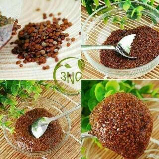 Ngũ hoa hạt 3NC