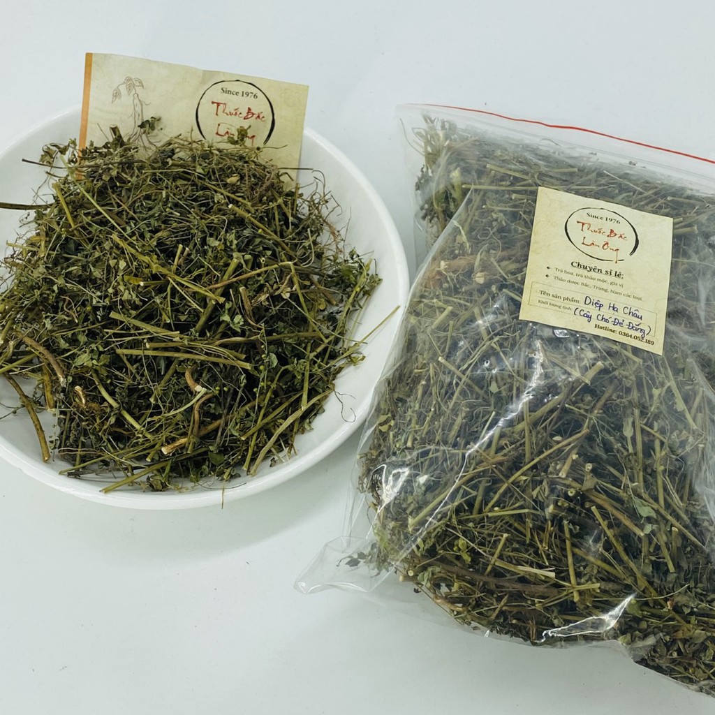 [Hàng Loại I] Chó Đẻ Đắng (Diệp Hạ Châu) 500g