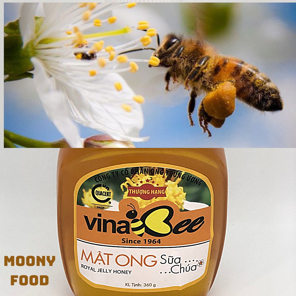 Mật Ong Rừng Hoa Nhãn Bạc Hà Nguyên Chất Vina Bee Hộp 360G