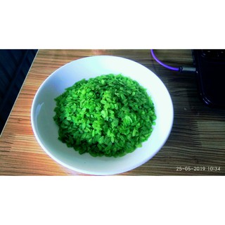 CỐM DẸP XANH (1kg)