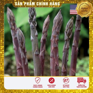 50 hạt giống măng tây tím f1 usa