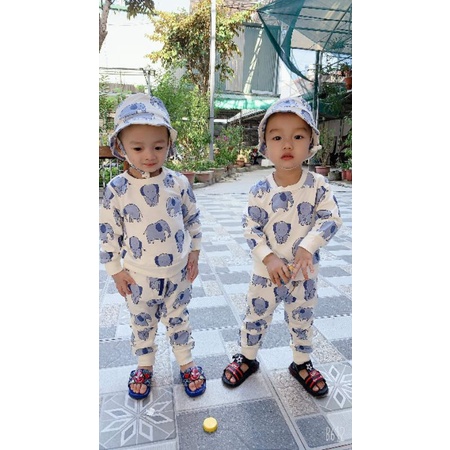 Bộ nỉ cá HM xuất họa tiết voi xanh tặng kèm mũ tai bèo cho bé trai 1-6y