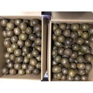 Bán sỹ Thùng la hán quả - Loại thùng 260 trái to không vỡ