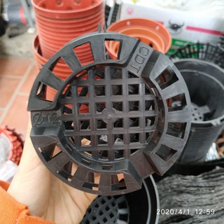 10 Chậu nhựa đen Phi 12cm trồng lan