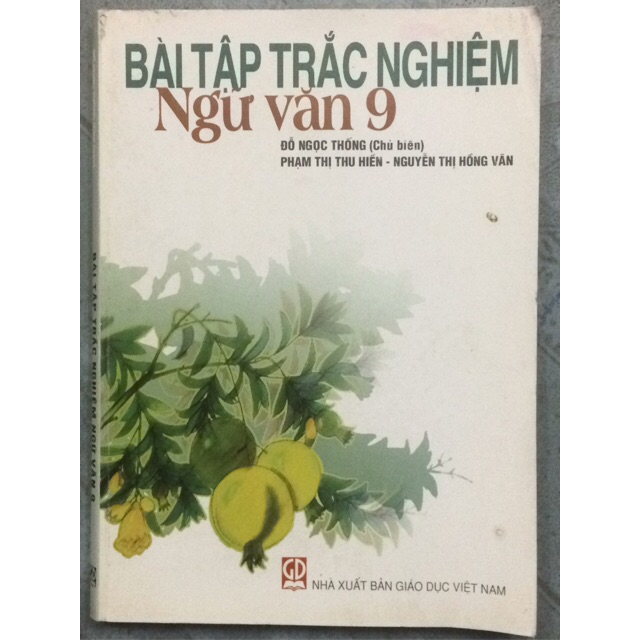 Sách - Bài tập trắc nghiệm Ngữ văn 9