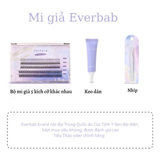Hộp mi giả tách sợi Everbab