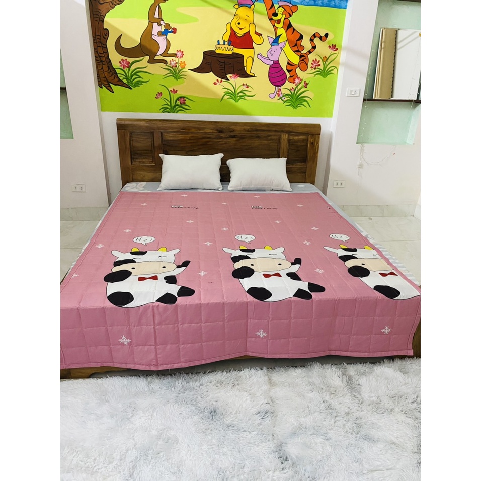 Chăn Hè Cotton Poly Mềm Mịn Trần Bông 3 Lớp