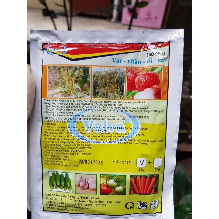 Siêu Kaki Kali-Zn-Bo siêu ra hoa đậu quả