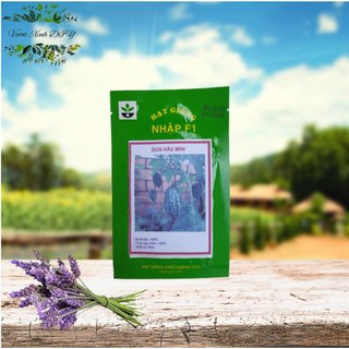 Hạt Giống Dưa Hấu Mini F1